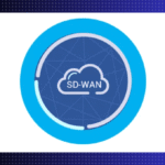 Cisco-SD-WAN-Training-Viptela-Training-Course-CCNP-SDWAN